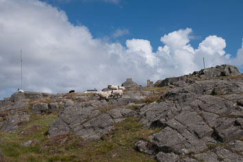 01 Sommerferie
 Hero